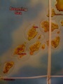 HAM-Islands