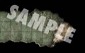 GameMastery Map Pack: Mines