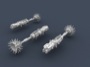FSWADA11202