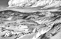 Mysterious Places: Bleak Moor (Download)