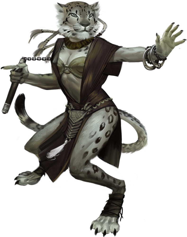 Dnd cat person